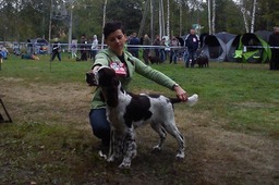 1175066_629957703705522_1720906208_n