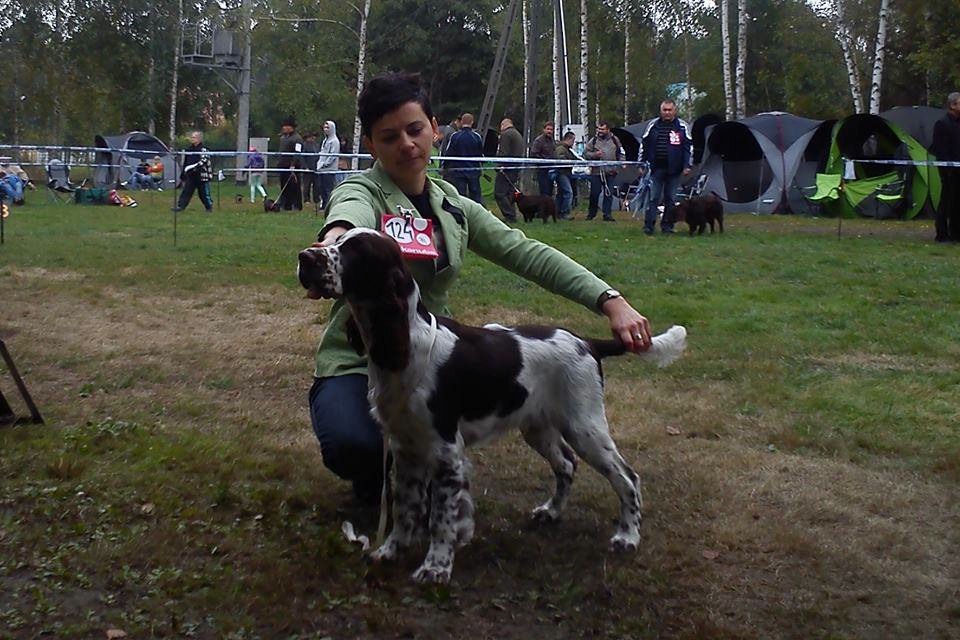 1175066_629957703705522_1720906208_n