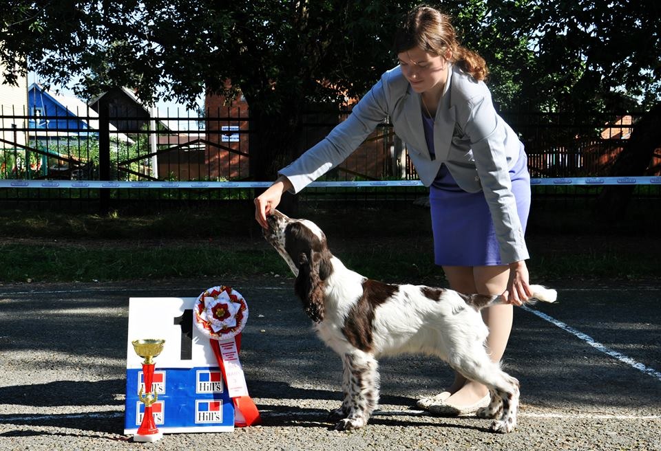 1237570_495354393890273_809971483_n