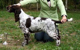 1238253_629957680372191_1283136265_n