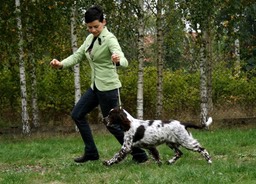 1375269_629957650372194_506676306_n