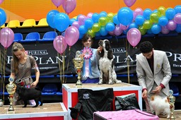 1379973_511860962239616_1232872338_n