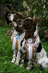 13878_629957753705517_555044990_n