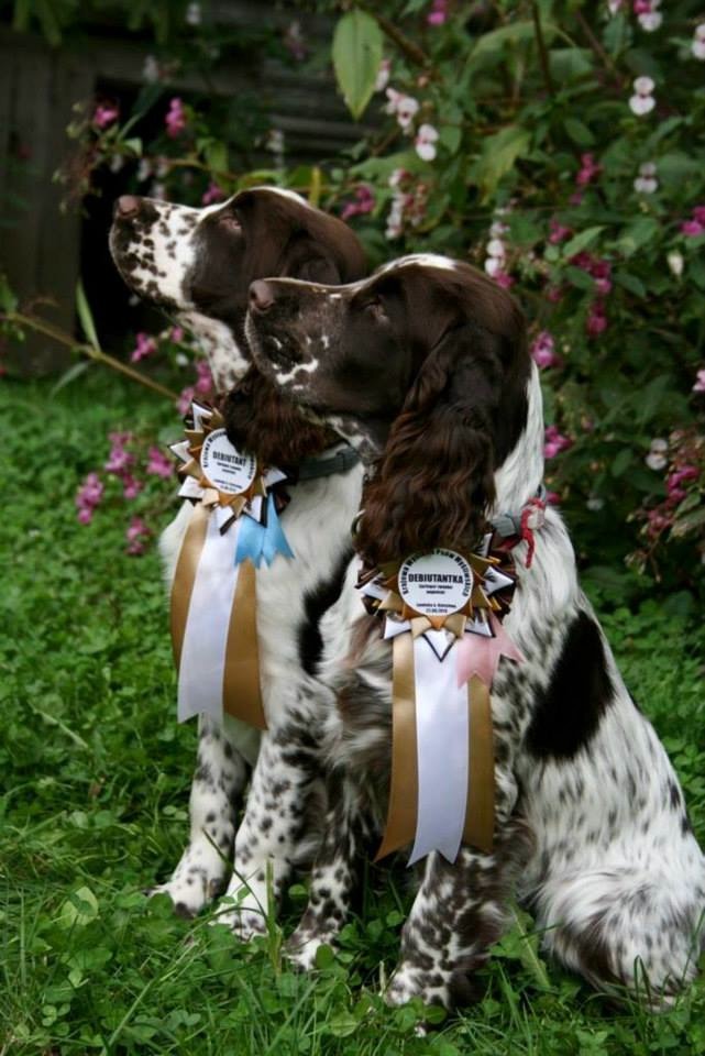 13878_629957753705517_555044990_n