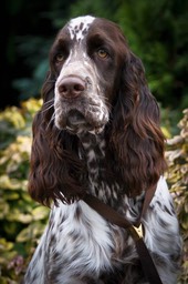 1441298_661492383885387_2000183063_n