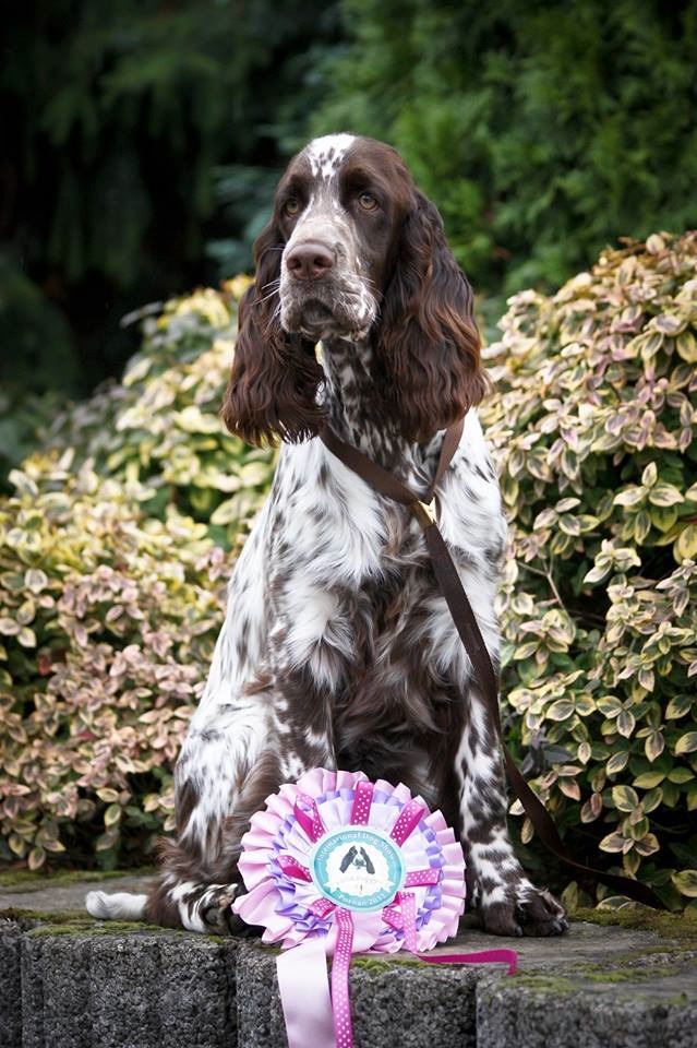 1460118_661492557218703_2104744669_n