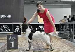 1463315_535802759845436_1106515061_n