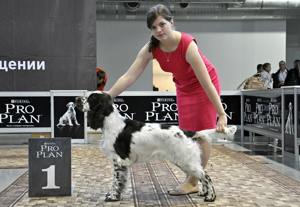 1463315_535802759845436_1106515061_n