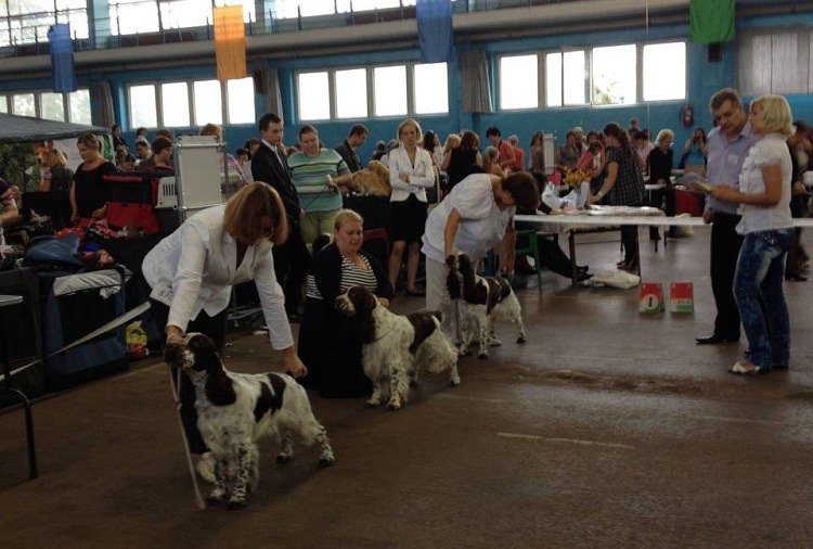 194947-74e26-58589436-m750x740-u6878a