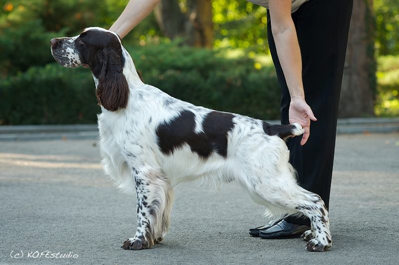 522286_4818755073395_1604507881_n