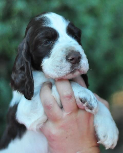 579863_466186656746703_1445657037_n