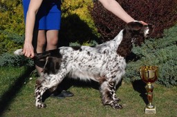 967720_803869696309625_588679573_nccc