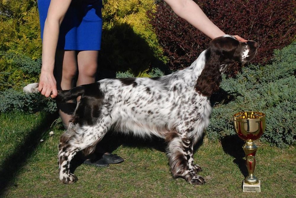 967720_803869696309625_588679573_nccc