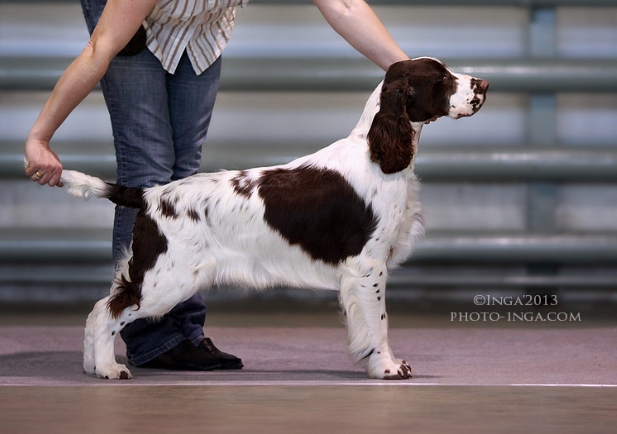 screen-shot-2013-04-22-at-14.38.37