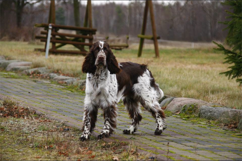 Screen Shot 2014-04-23 at 3.16.25