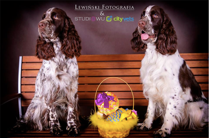 Screen Shot 2014-04-23 at 20.15.26