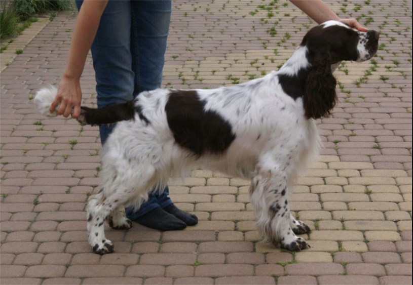 Screen Shot 2014-06-02 at 15.09.03